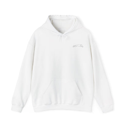 Starlight hoodie